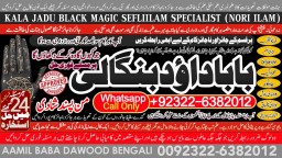 online istikhara for love marriage vashikaran specialist love problem solution astrologer C1