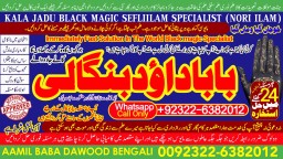 Kala Ilam Expert Specialist In Australia Astrologer Amil Baba Kala Jadu Expert Specialist In UK B8