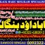 Amil Baba Tantrik Pandit Hindu Astrologer Love Problem Amil Baba Divorce Problem Sloution A8
