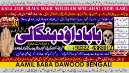 Kala Jadu Expert Specialist In Malaysia Kala Jadu Expert Specialist In Australia Love Vashikaran A5