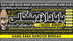 Kala Ilam Expert Specialist In Australia Astrologer Amil Baba Kala Jadu Expert Specialist In UK A4