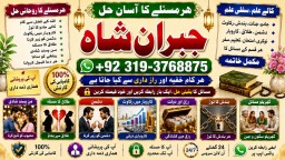 love problem solution specialist online love problem solution love marriage specialist E4