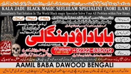 online istikhara for love marriage vashikaran specialist love problem solution astrologer C5