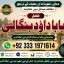 Amil Baba in Spain Amil Baba in Amercia Amil Baba in Qatar Amil Baba in Italy Amil Baba in Kuwait F5