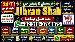 love problem solution specialist online love problem solution love marriage specialist E9