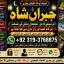 Amil Baba Black Magic Expert Specialist In UK Black Magic Expert Specialist In USA E6
