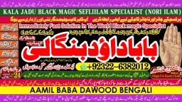 Amil Baba Tantrik Pandit Hindu Astrologer Love Problem Amil Baba Divorce Problem Sloution A6
