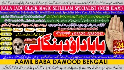 Amil Baba Tantrik Pandit Hindu Astrologer Love Problem Amil Baba Divorce Problem Sloution D4