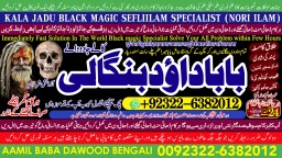 D7 Amil Baba Tantrik Pandit Hindu Astrologer Love Problem Amil Baba Divorce Problem Sloution