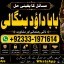 Love Vashikaran Specialist Kala Jadu Expert Specialist In USA Kala Jadu Expert In UAE F3