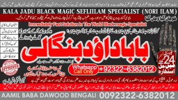 Amil Baba Bangali Baba | Aamil baba Taweez Online Kala Jadu kala jadoo Astrologer B5