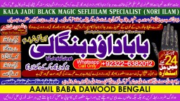 love problem solution specialist online love problem solution love marriage specialist B3