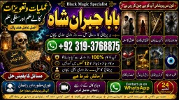 Love Vashikaran Specialist Kala Jadu Expert Specialist In USA Kala Jadu Expert In UAE E4