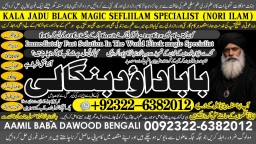Love Vashikaran Specialist Kala Jadu Expert Specialist In USA Kala Jadu Expert In UAE A7