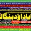 online istikhara for love marriage vashikaran specialist love problem solution astrologer A10