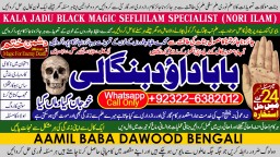 online istikhara for love marriage vashikaran specialist love problem solution astrologer B3