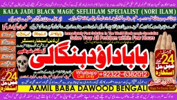 online istikhara for love marriage vashikaran specialist love problem solution astrologer B5