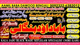 love problem solution specialist online love problem solution love marriage specialist A12