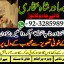 top1 amil baba in pakistan,black magic expert in pakistan,asli amil baba in lahore,real amil baba in 7