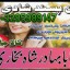top1 amil baba in pakistan,black magic expert in pakistan,asli amil baba in lahore,real amil baba in 0 top1 amil baba in pakistan,black magic expert in pakistan,asli amil baba in lahore,real amil baba in 0