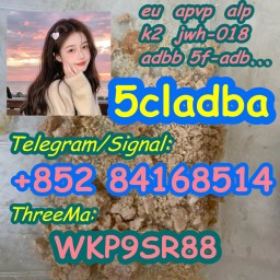 5cladba Adbb 5cl-adb-a 5f-adb With Low Price IAMB K2 oil 5cladba Adbb 5cl-adb-a 5f-adb With Low Price IAMB K2 oil