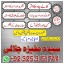 black magic expert in pakistan kala jadu specialist 4 black magic expert in pakistan kala jadu specialist 4