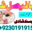 professional amil in multan , kala jadu expert multan , online amil baba multan , real rohani amil b 8 professional amil in multan , kala jadu expert multan , online amil baba multan , real rohani amil b 8