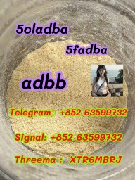 5cladba raw material 5CL-ADB-A precursor raw
