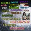 CAS:71368-80-4 Bromazolam