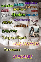 Cas 71368-80-4 Bromazolam
