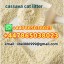 High Absorption Biodegradable Cassava Cat Litter Long-Lasting Pet-Safe Easy to Clean Deodorant White