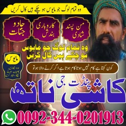 Expert AmilBaba Amercia,Vashikaran Expert Baba In Spain,Online Specialist Usa,Hindu Amil Baba India,