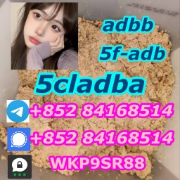 5cladba Cannabinoids Raw Materials 5f-adb adbb Precursor 5CLADB