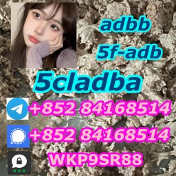 Strong powder 5CLADBA 5fadb Hot sell jwh-018 adbb 5CL-ADB-A 5cladb