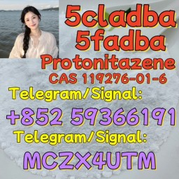 Protonitazene (hydrochloride)CAS 119276-01-6