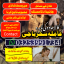 Amil baba/Online Istikhara Expert,Amila Baji Aslii,Canada##Kalajadu Expert,Amil baba Pakistan/Lahore 0 Amil baba/Online Istikhara Expert,Amila Baji Aslii,Canada##Kalajadu Expert,Amil baba Pakistan/Lahore 0