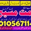 Top 10 astrologer in USA Best Indian astrologer in USA Famous astrologers in USA