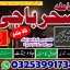 specialist A1_amil baba karachi expert,aslii istikhara expert//karachi best astroloer,amil baba kala 0