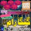 Najoomi baba in pakistan,kala jadu amil baba Karachi,Real amil baba Islamabad,Authentic amil baba Fa