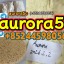 99% purity 5cladba precursor raw 5cl-adb-a adbb raw material by Hong Kong