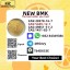 Most Popular New B.MK Power CAS 5449-12-7