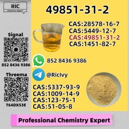 Premium Quality 49851-31-2 New B.MK Power CAS 5449-12-7