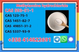 Buy High Quality CAS 593-51-1 Methylamine Hydrochloride at Best Price