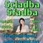 Strong 5cladba raw materials 5CL-ADB precursor powder supplier