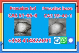 Good Quality Of 59-46-1 Procaine Base Factory Manufacturer Supplier