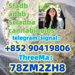 5cladba 5F-MDMB-PICA Precursor Raw 5cladba Raw Material