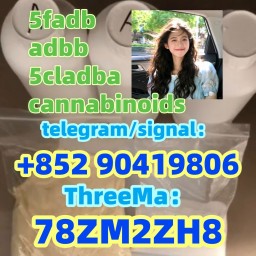 5CLADBA precursor powder 5cl-adb-a 5cladb adbb jwh-018