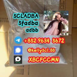 99-purity-5cladba-precursor-raw-5cl-adb-a-adbb-raw-material