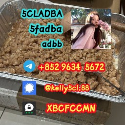 5cladba-99-medical-intermediate-5cladba-pdid