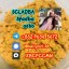 5cladba 5cladba Yellow Powder 5CL-ADB-A 5F-Adb 5Fadb